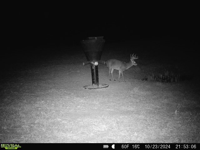 Gilmore Road, Gnadenhutten, Ohio image 49