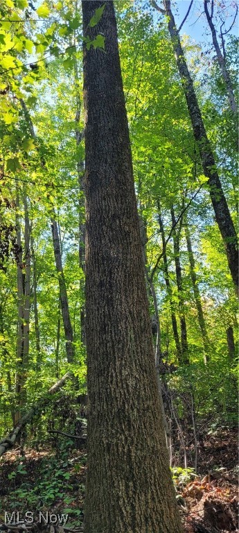 Gilmore Road, Gnadenhutten, Ohio image 28