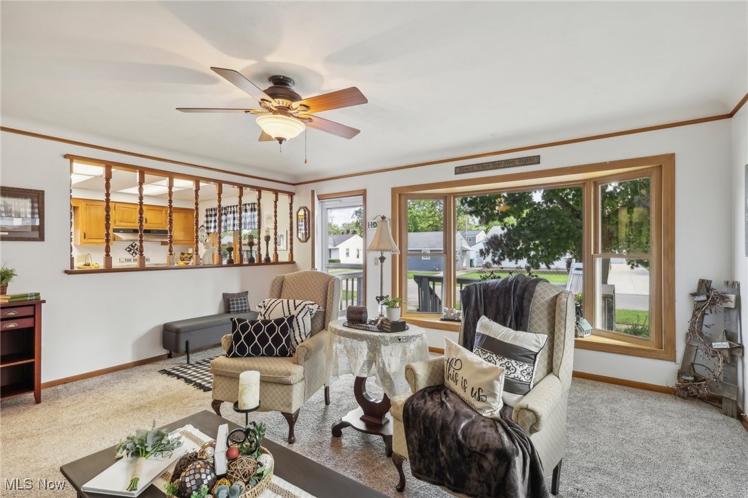 Avondale Allotment - Residential