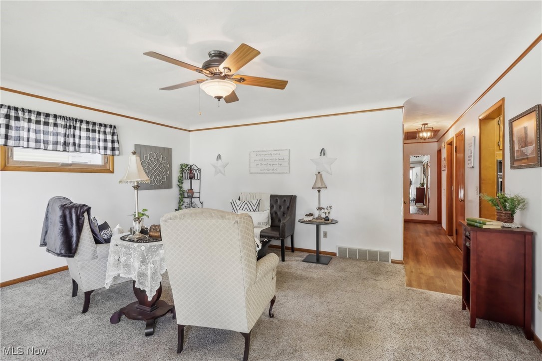 Avondale Allotment - Residential