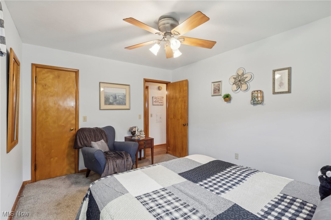 Avondale Allotment - Residential