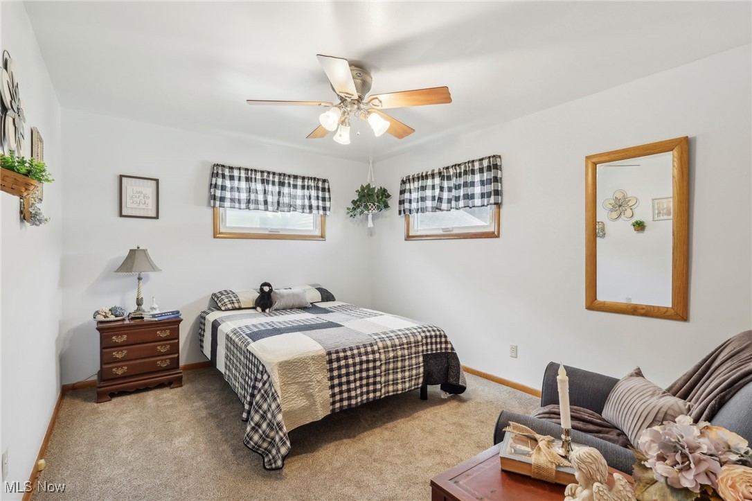 Avondale Allotment - Residential