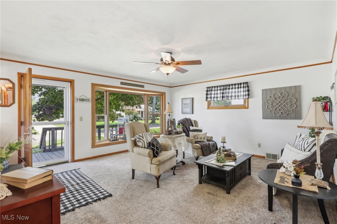 Avondale Allotment - Residential