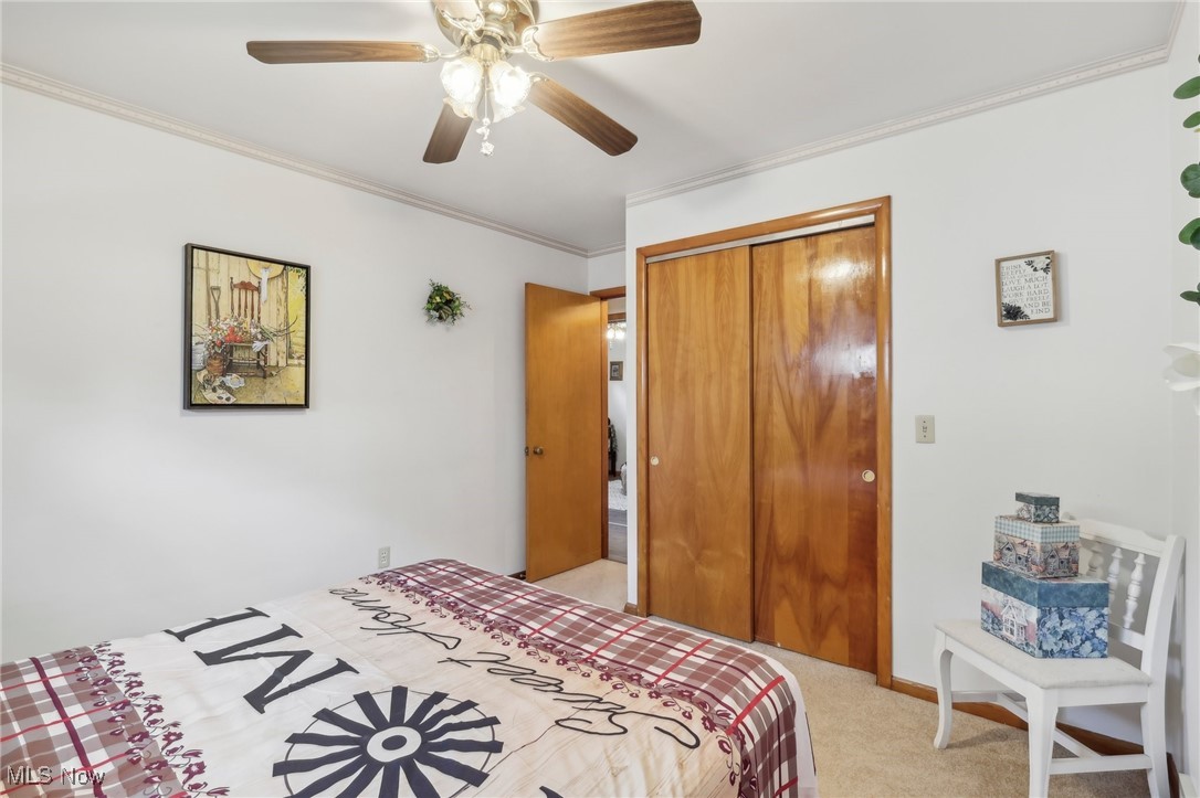 Avondale Allotment - Residential