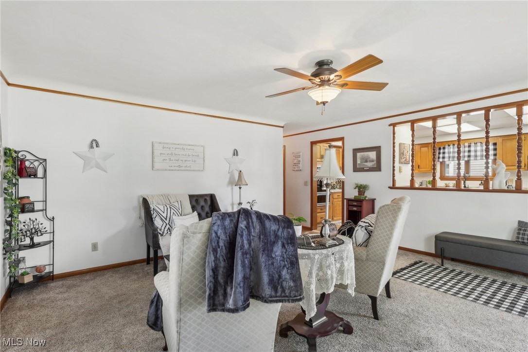 Avondale Allotment - Residential