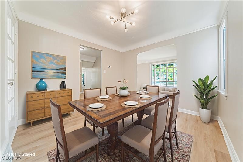 Knickerbocker & Company's Burk - Residential