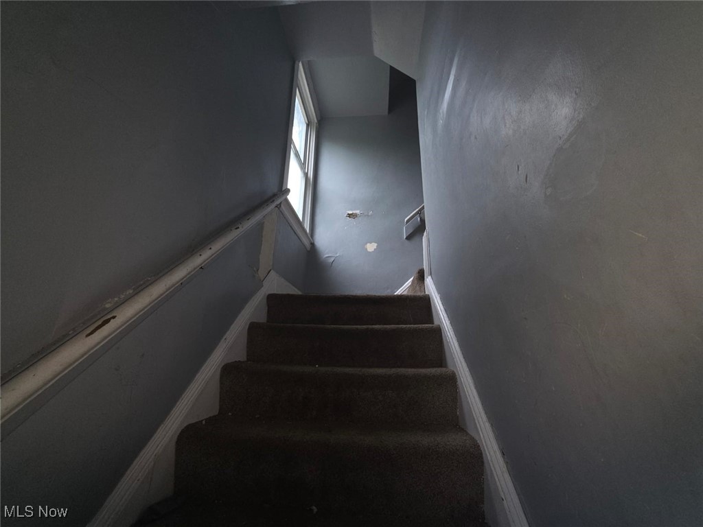11703 Castlewood Avenue, Cleveland, Ohio image 10