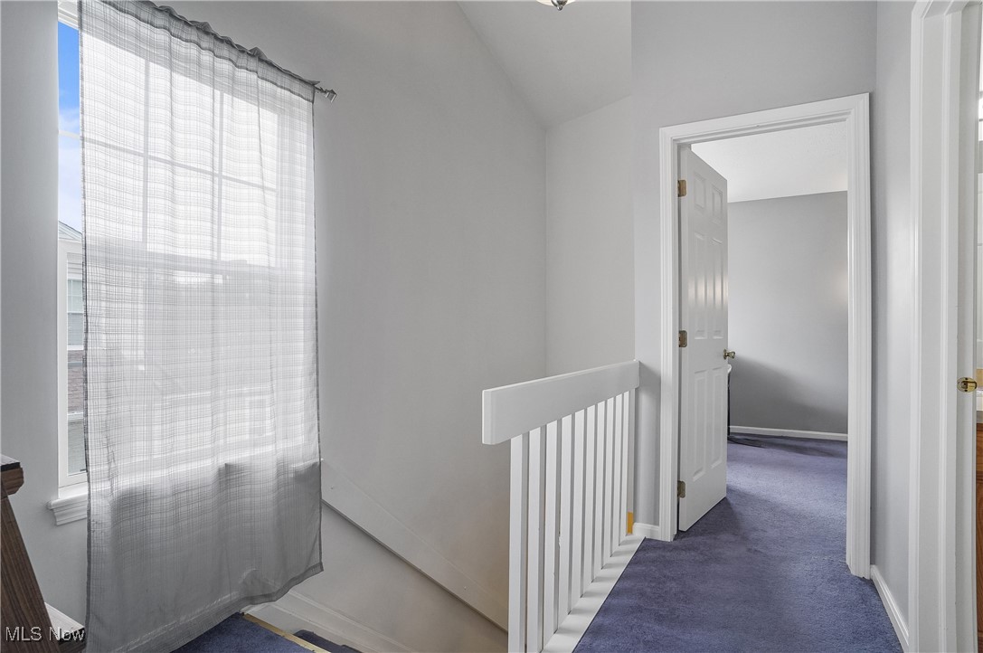 Steeple Chase - Residential