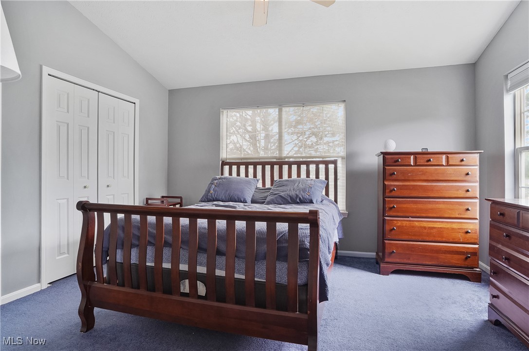 Steeple Chase - Residential