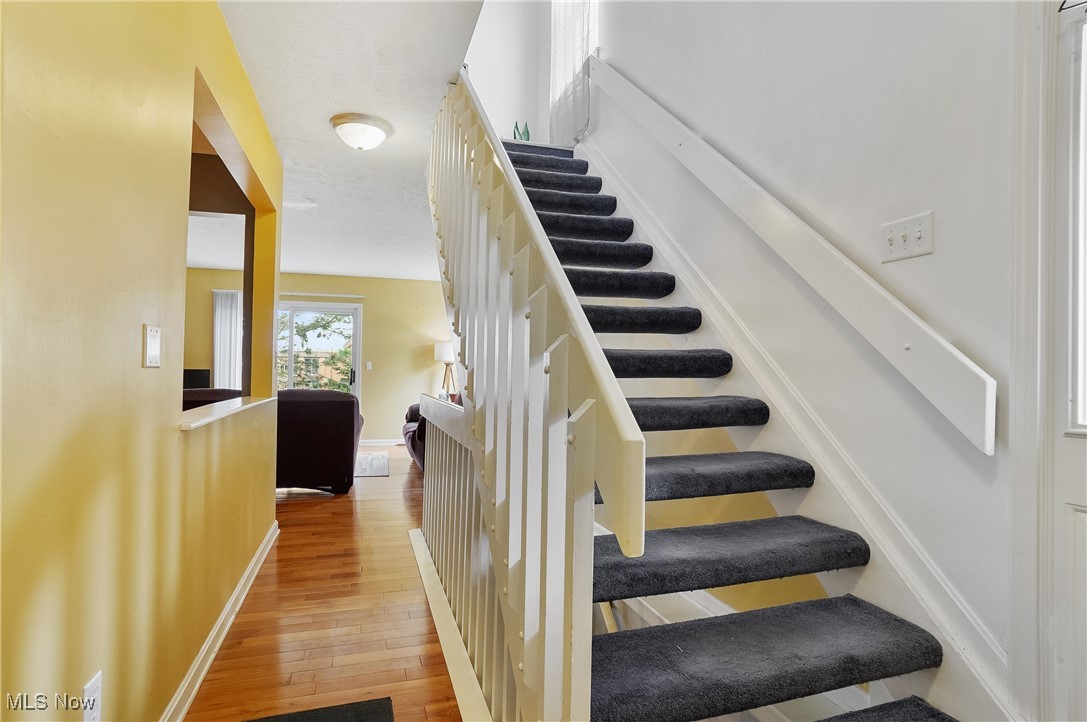 Steeple Chase - Residential