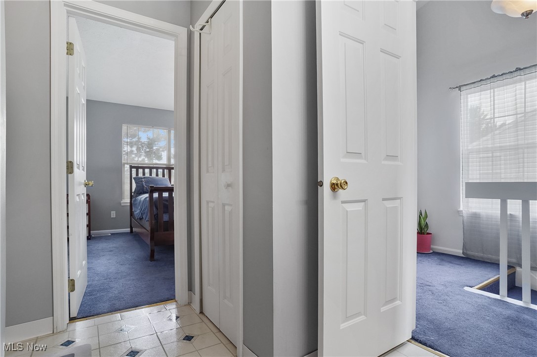 Steeple Chase - Residential