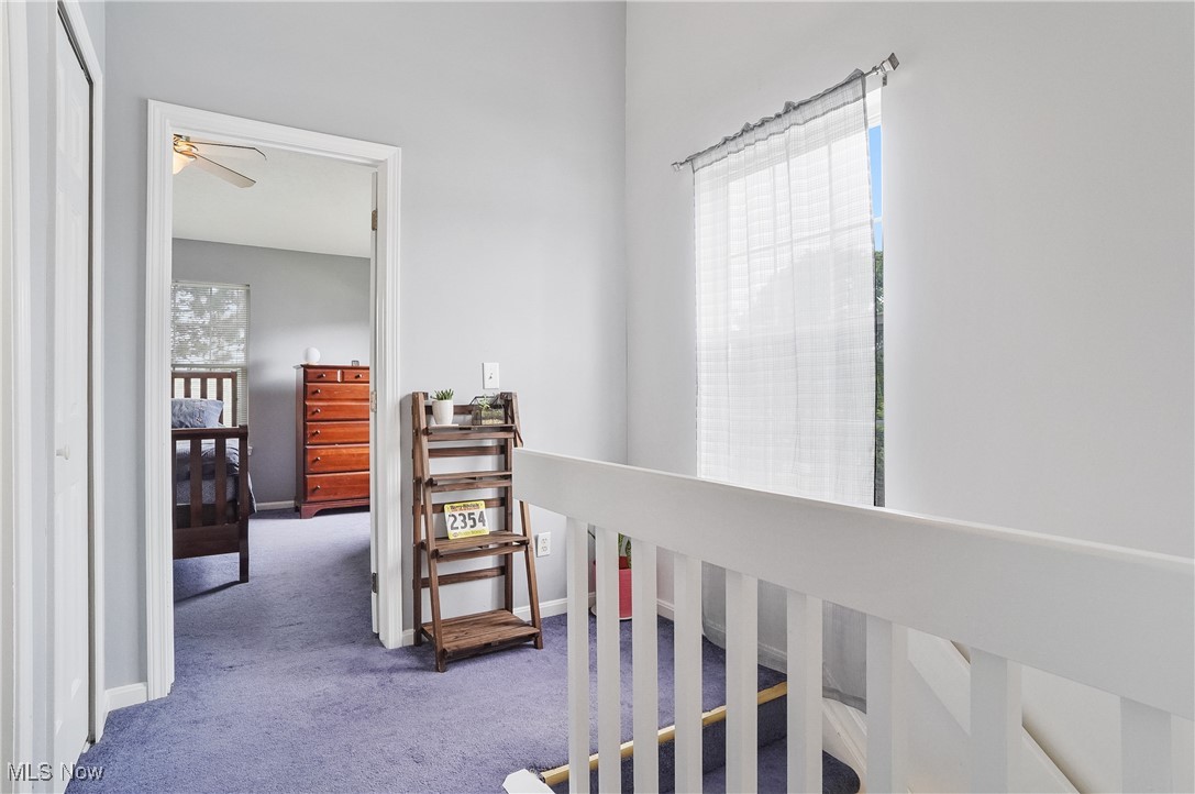 Steeple Chase - Residential