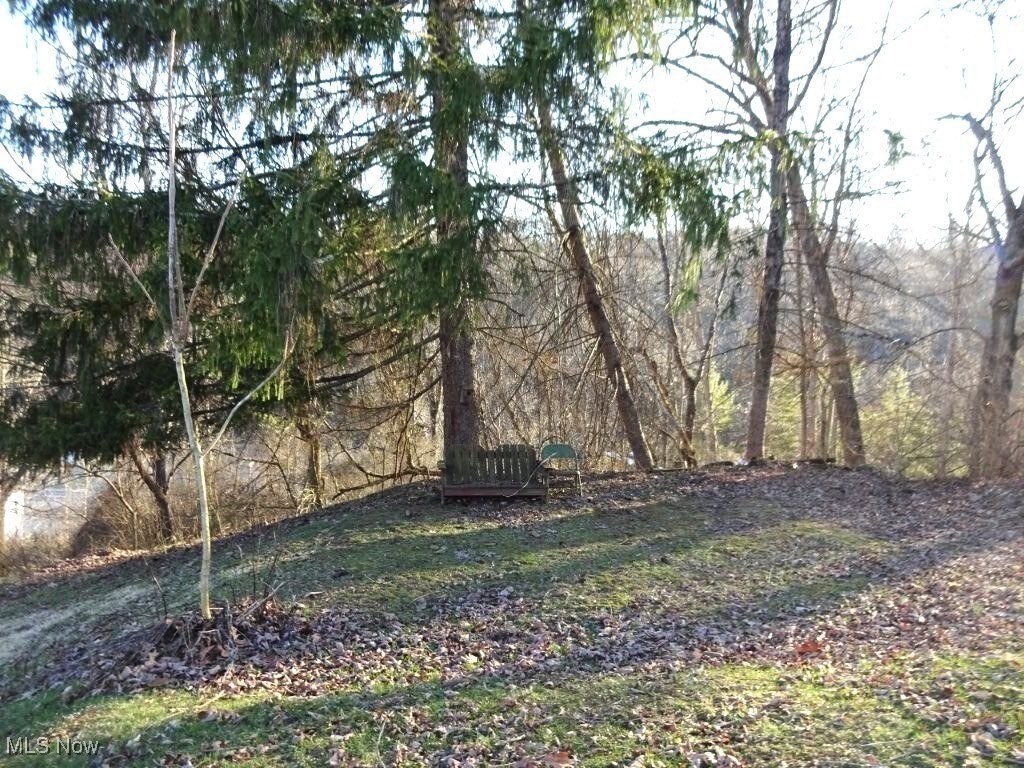 203 Counts Hill, Spencer, West Virginia image 28