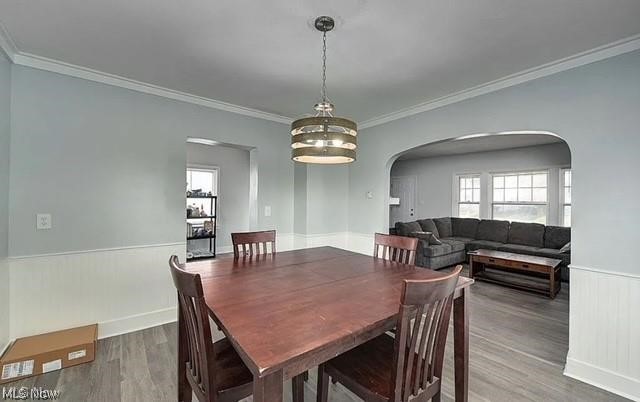 Walton Realty Companys Garfie - Residential