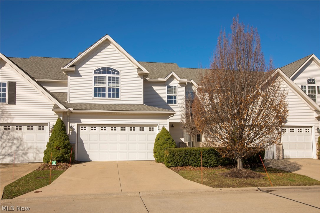 Wildberry 01 - Residential