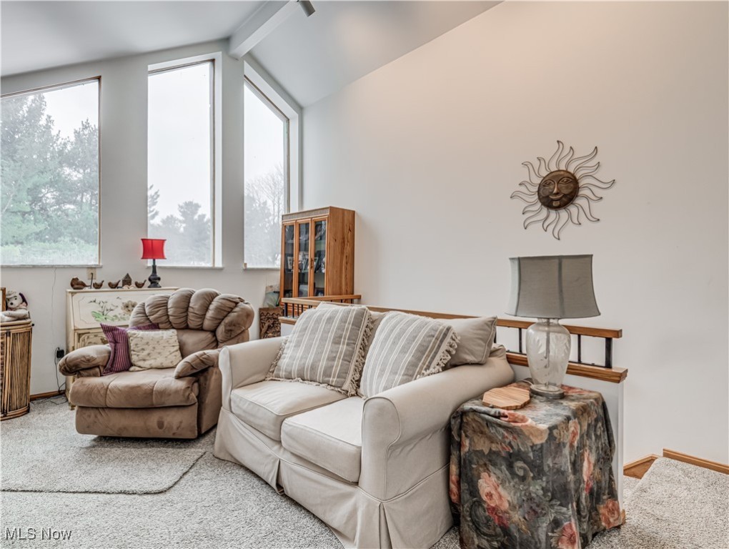 Pine Mill Ridge Condo - Residential