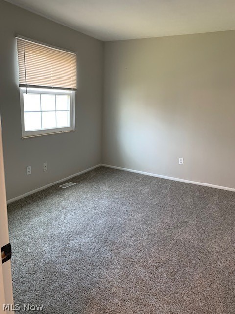Woodbury Condo - Residential