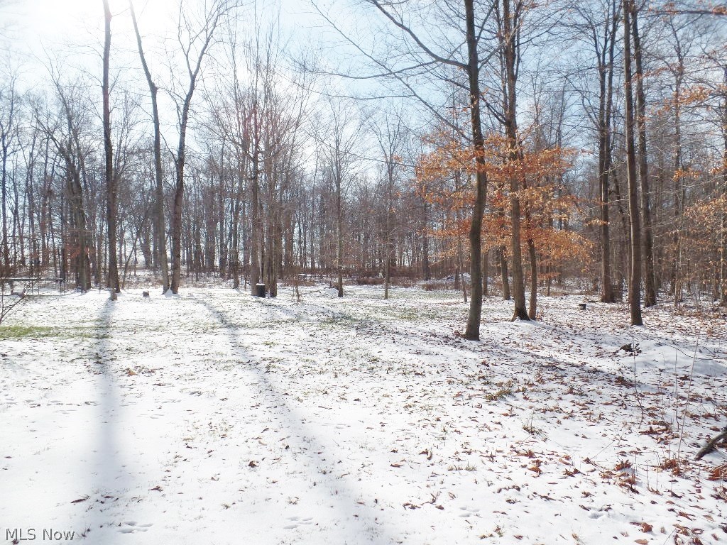 Surrey Hills - Residential