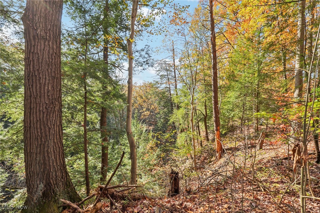 Greenwood Village Condo - Residential