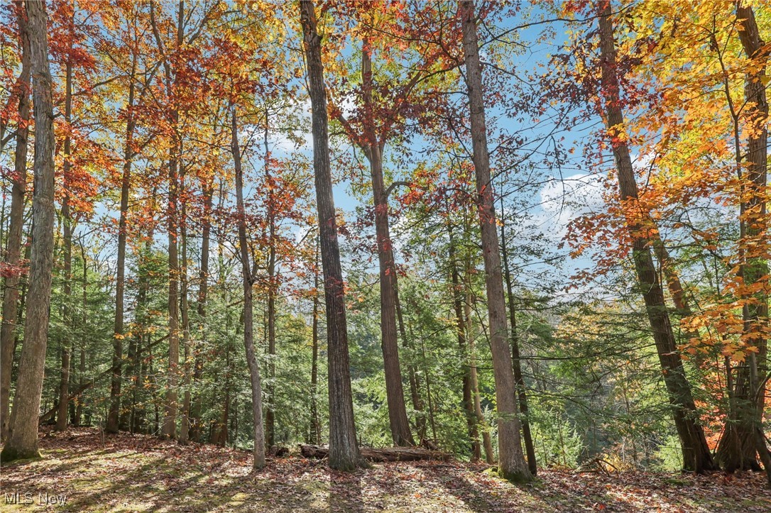 Greenwood Village Condo - Residential