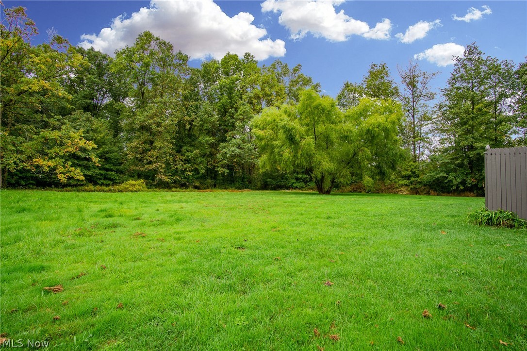 Township/Warren Sec 02 - Residential