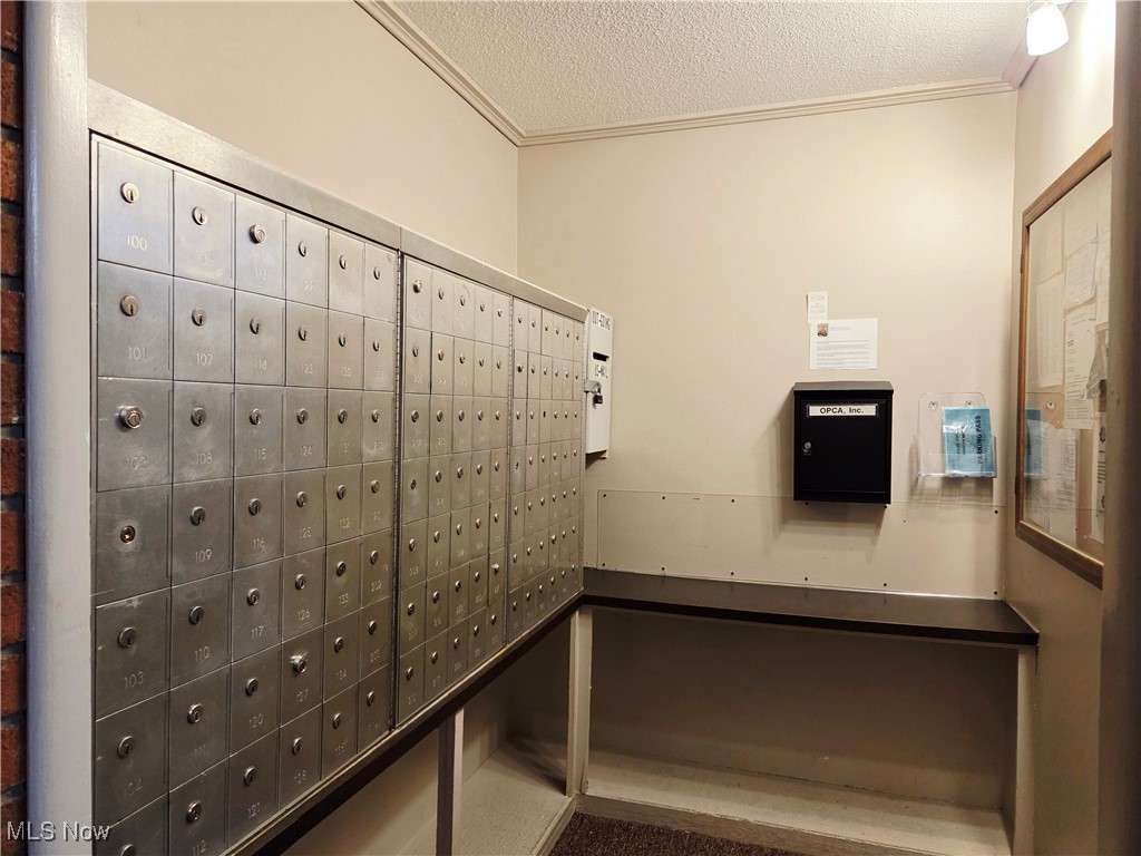 Olmsted Park Condo - Residential