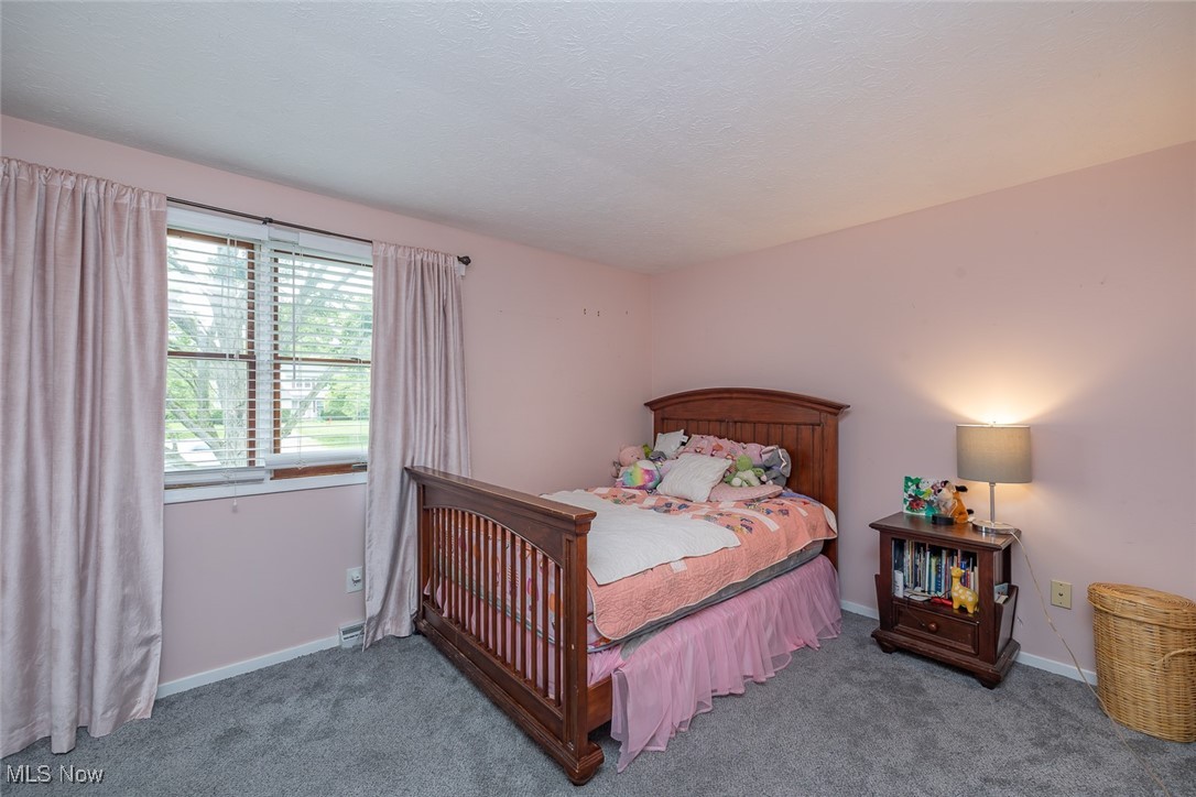 357 Leatherman Road, Wadsworth, Ohio image 22