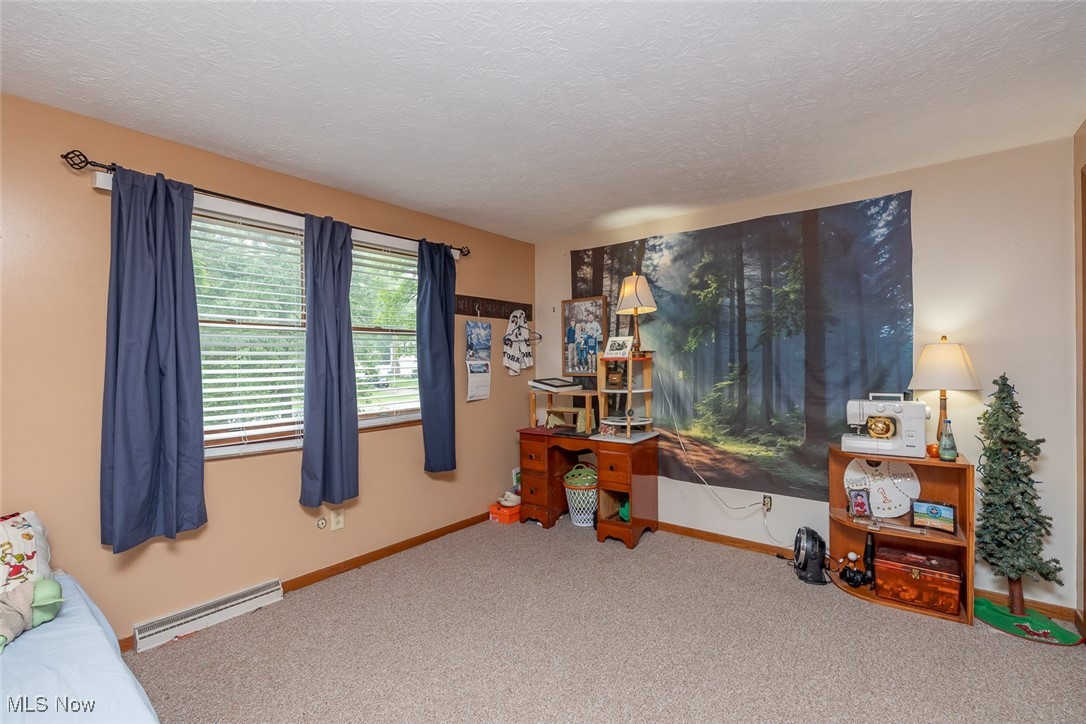 357 Leatherman Road, Wadsworth, Ohio image 24