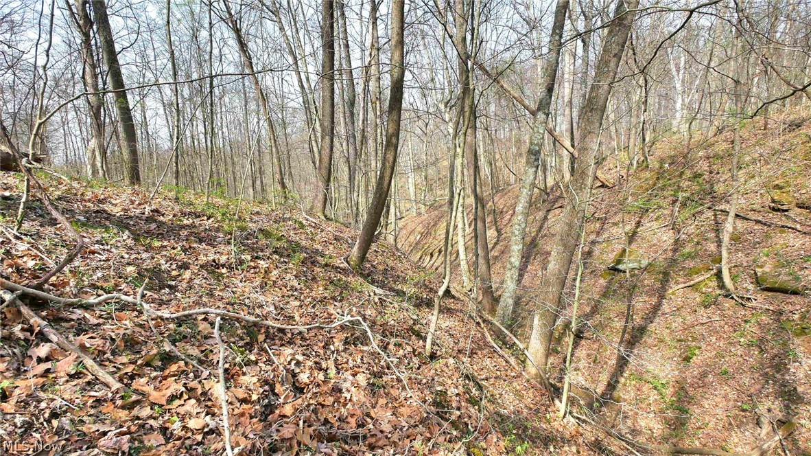 Bruner Krafka SD - Residential