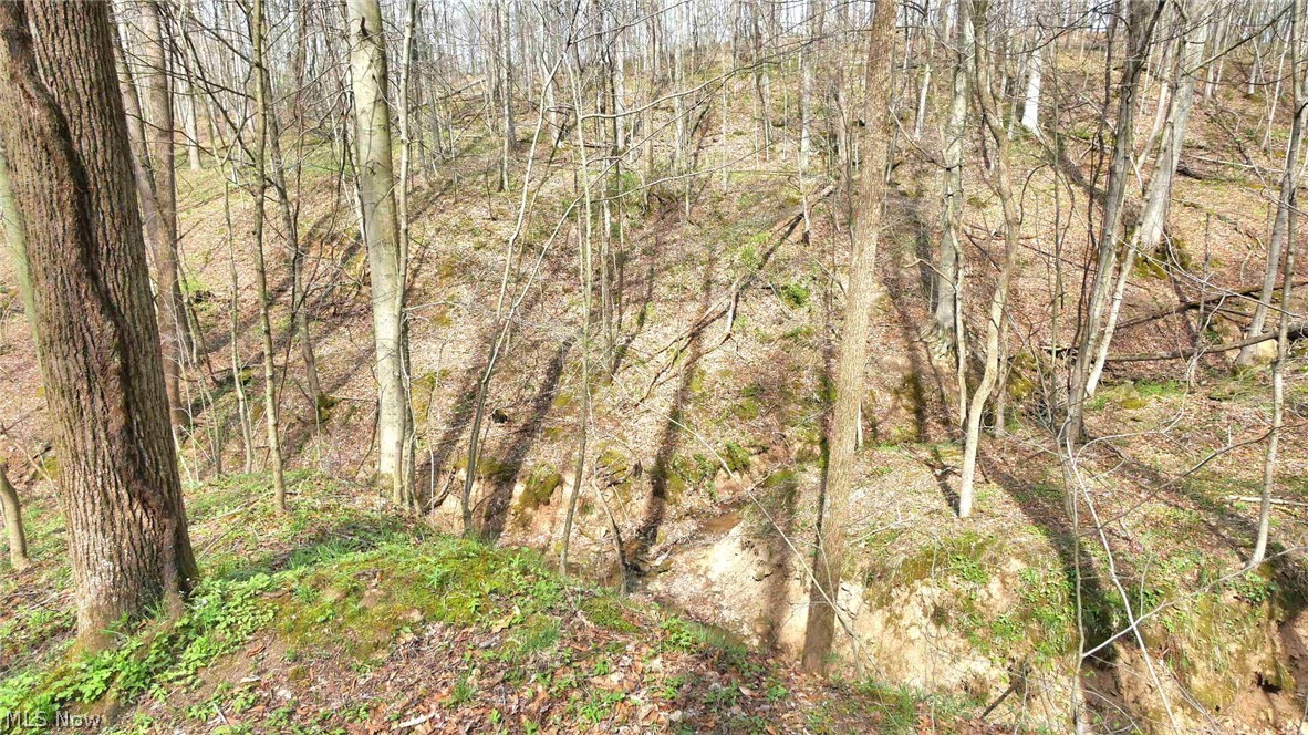 Bruner Krafka SD - Residential