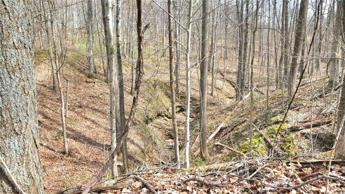 Bruner Krafka SD - Residential