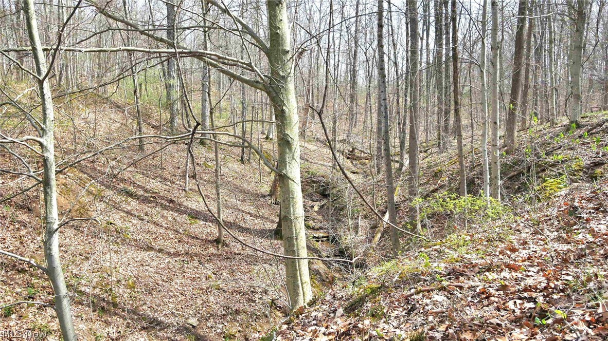 Bruner Krafka SD - Residential