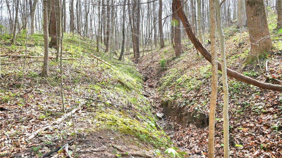 Bruner Krafka SD - Residential