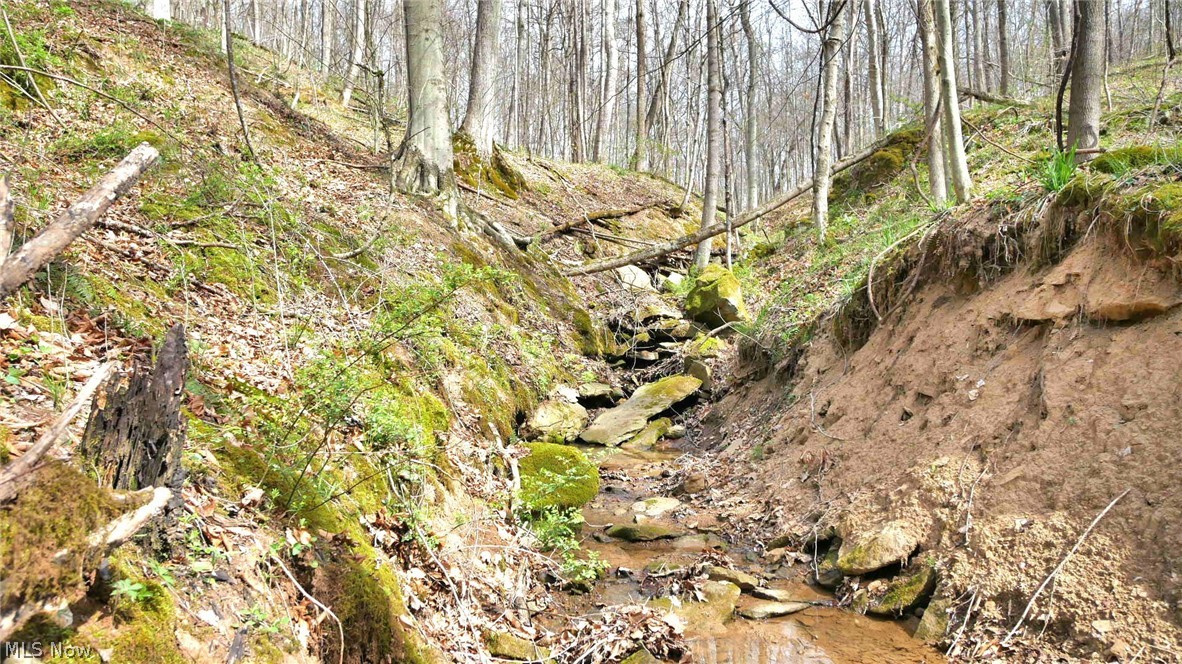 Bruner Krafka SD - Residential