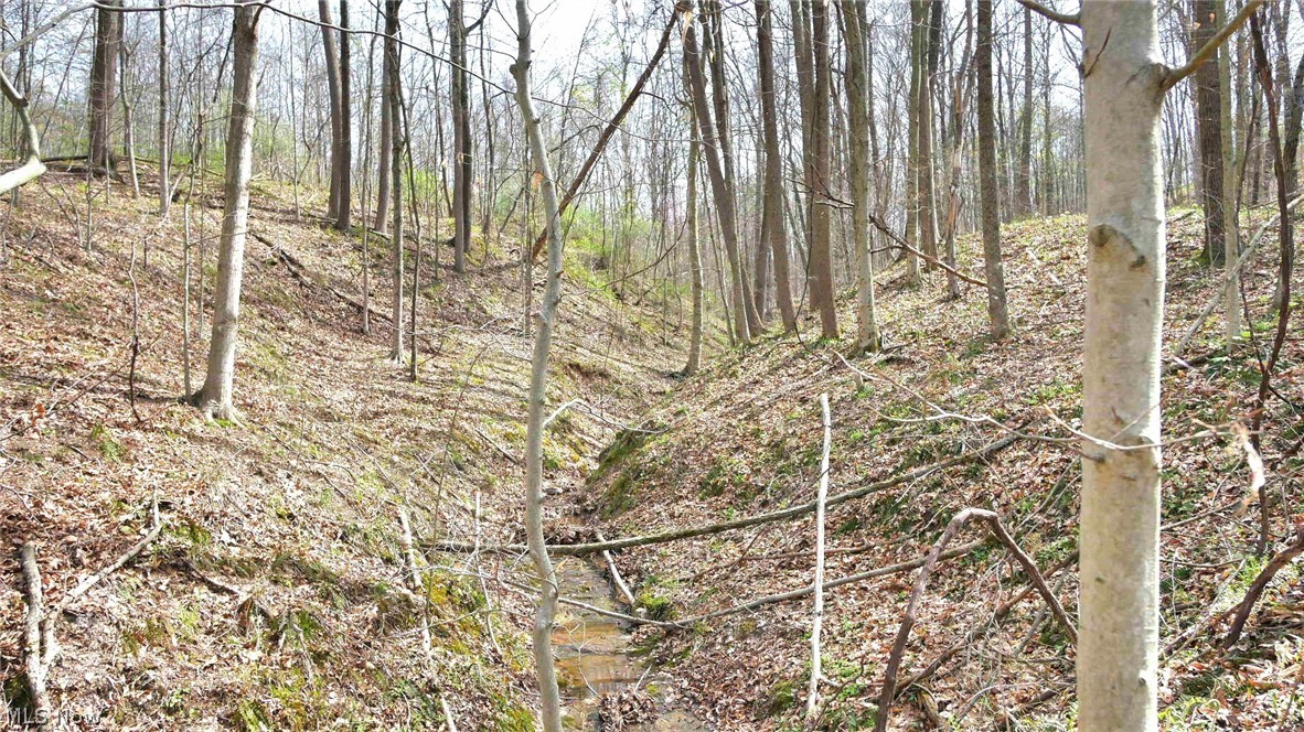 Bruner Krafka SD - Residential