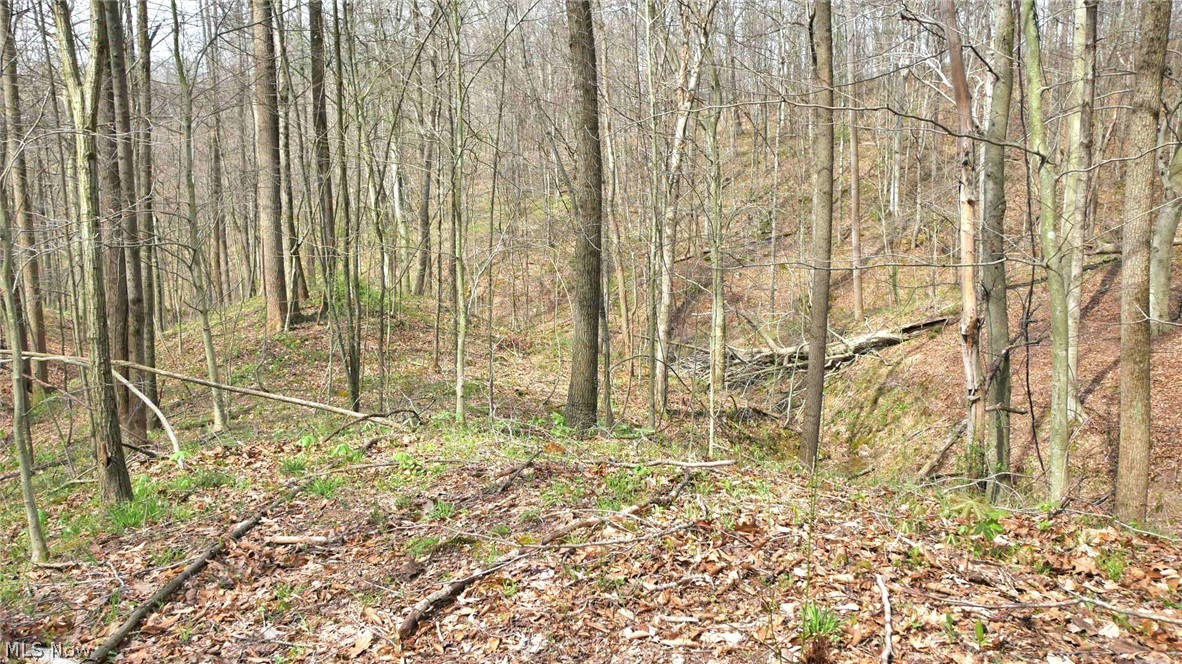 Bruner Krafka SD - Residential