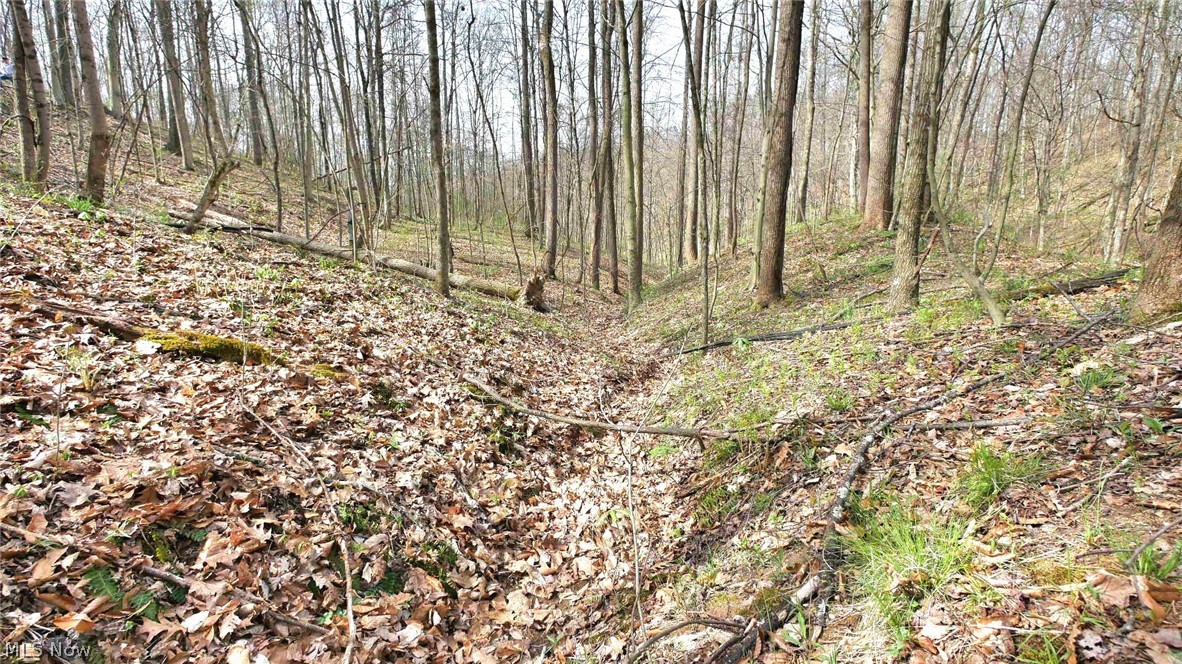 Bruner Krafka SD - Residential