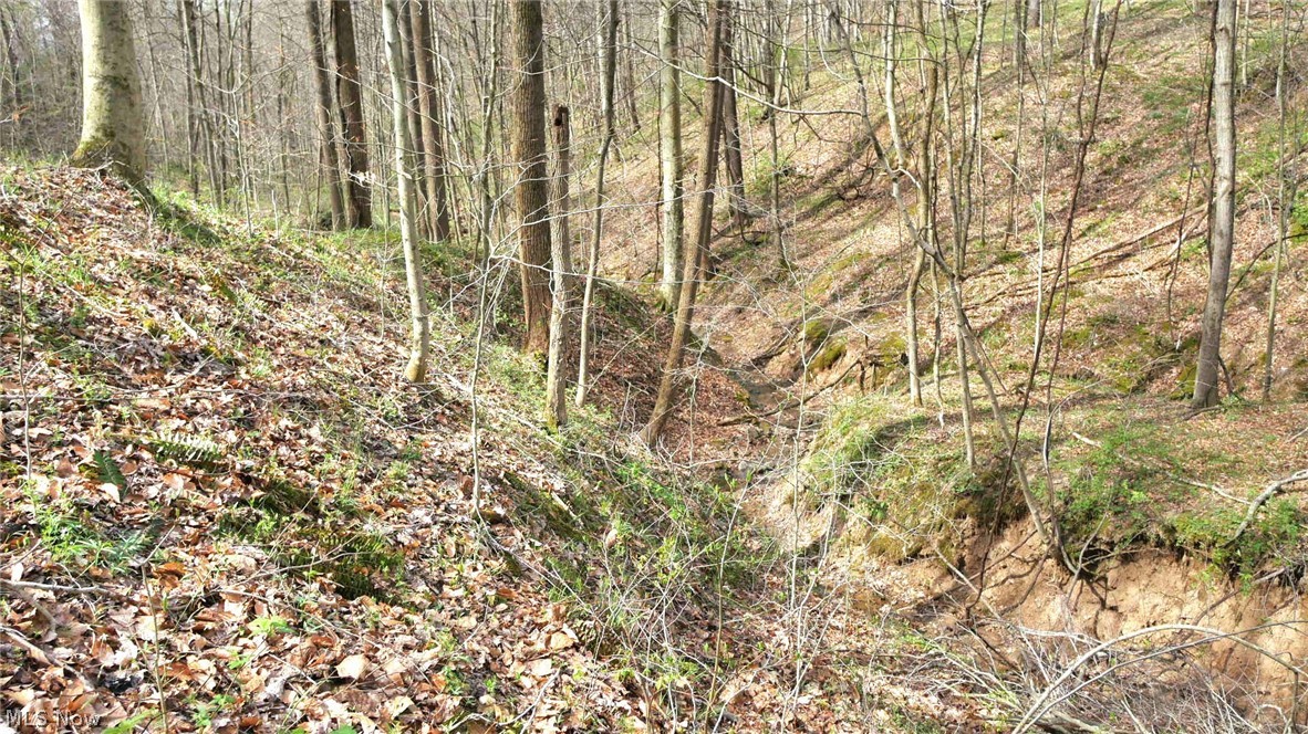 Bruner Krafka SD - Residential