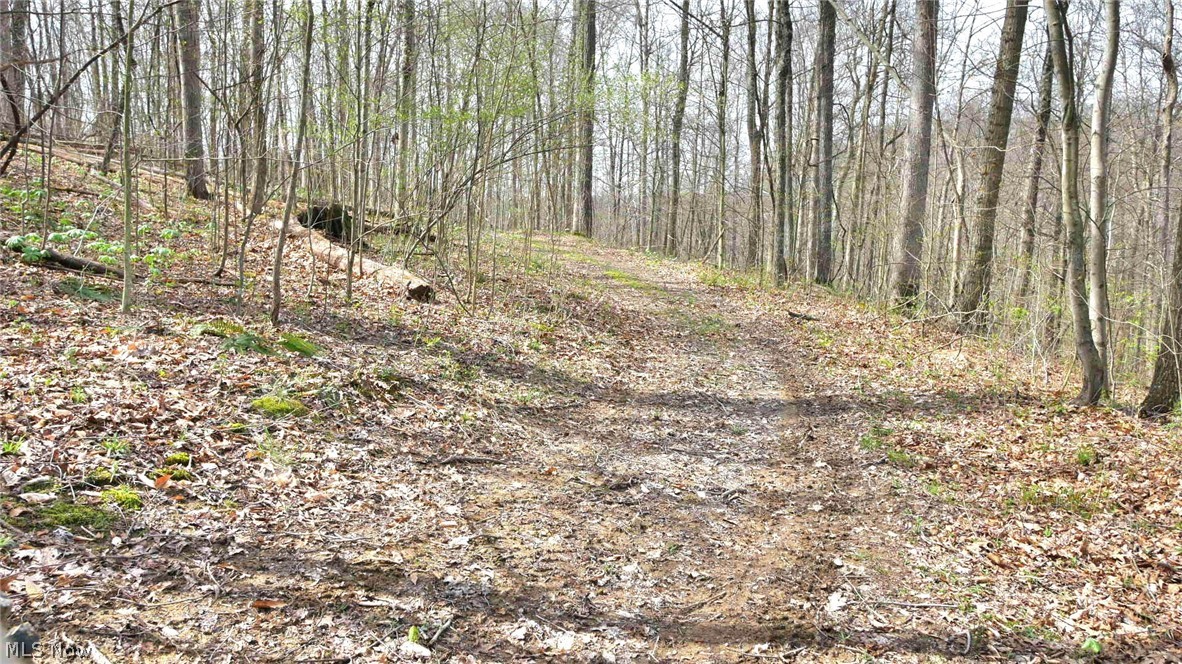 Bruner Krafka SD - Residential