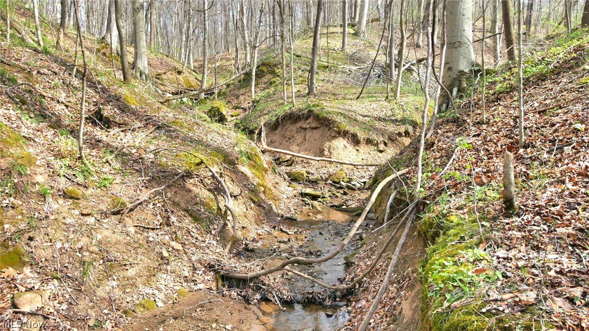 Bruner Krafka SD - Residential