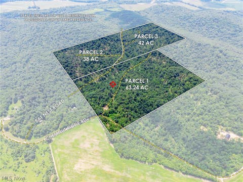 Vacant Land For Sale - 31800 Chestnut Ridge Road<br/> Knox County, Danville, OH 43050