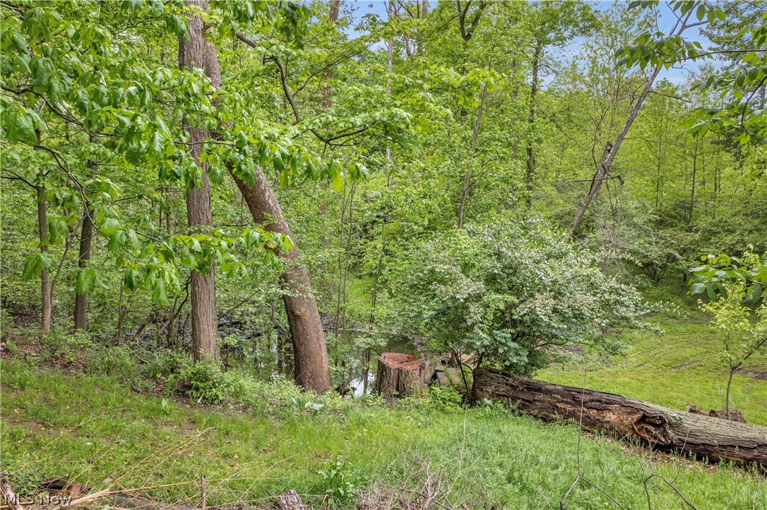 Olmsted 03 - Residential