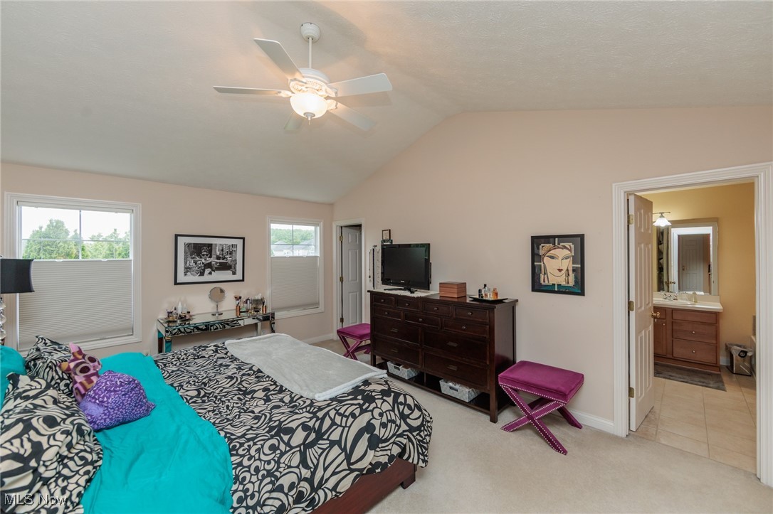 215 Prestwick Drive, Broadview Heights, Ohio image 29