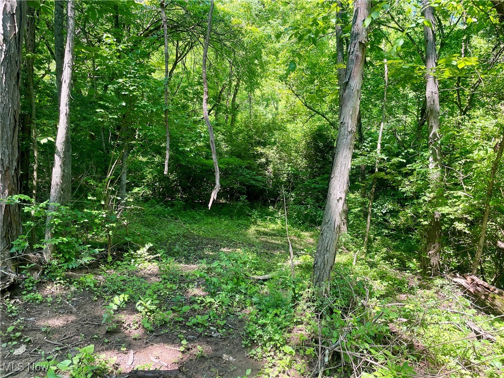 Valley Road, Caldwell, Ohio image 4