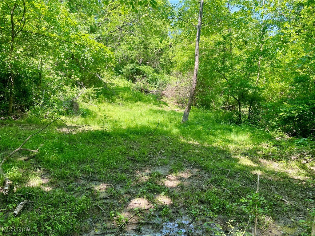 Valley Road, Caldwell, Ohio image 3