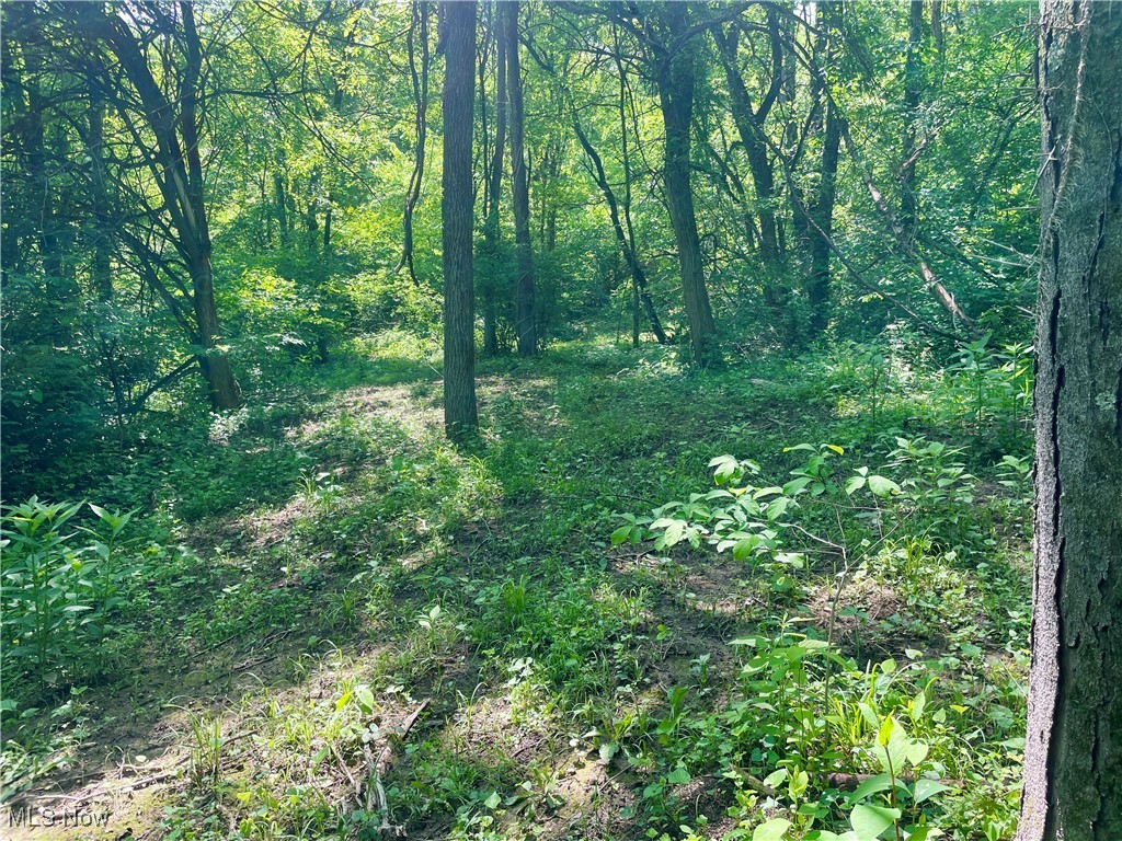 Valley Road, Caldwell, Ohio image 7