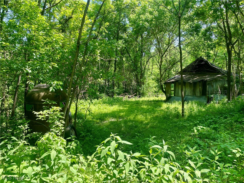 Valley Road, Caldwell, Ohio image 1