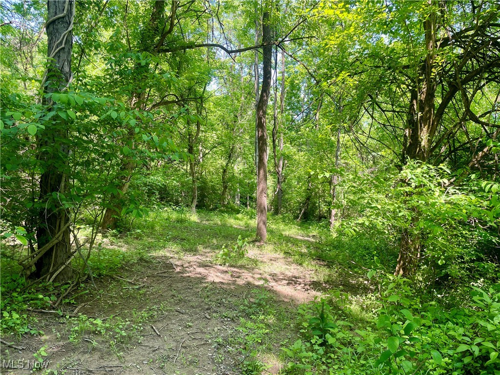 Valley Road, Caldwell, Ohio image 5
