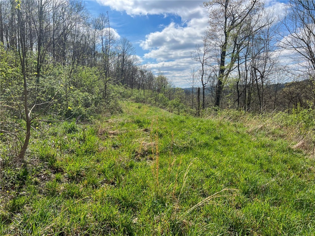 46911 Benwood Rd, Sardis, Ohio image 9