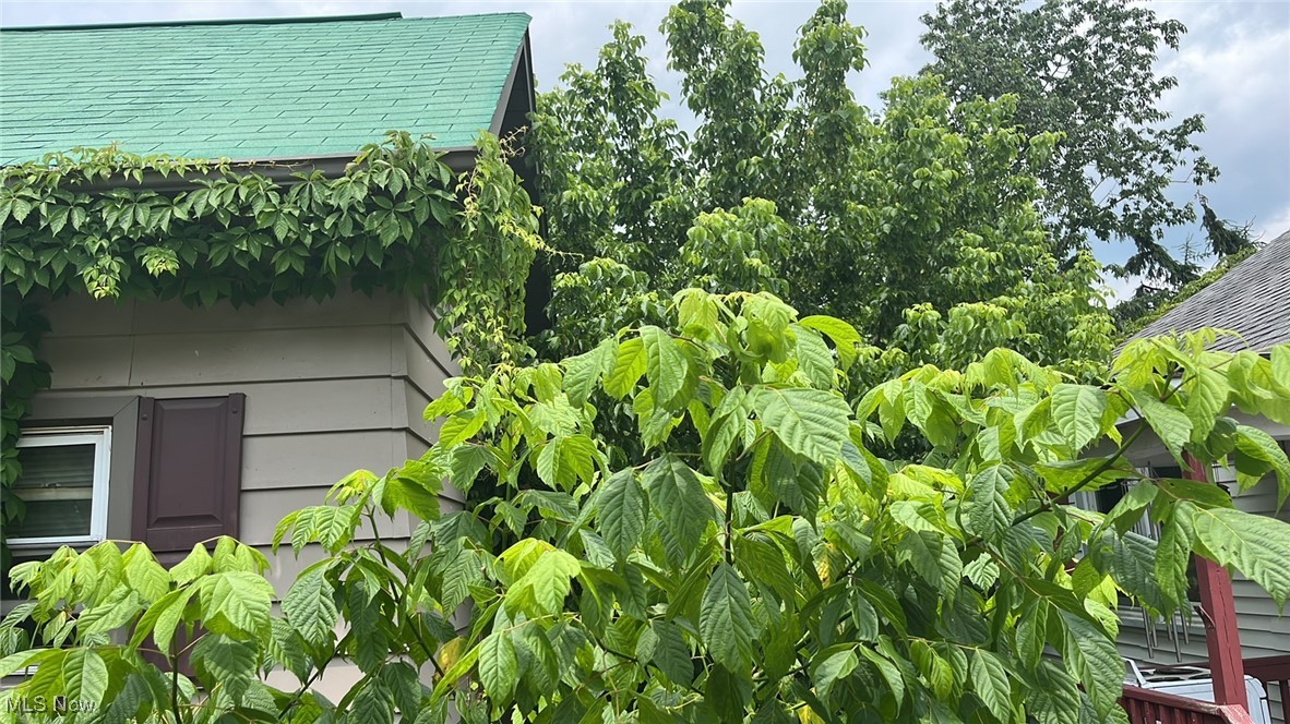 Hamlet/Kirkwood - Residential